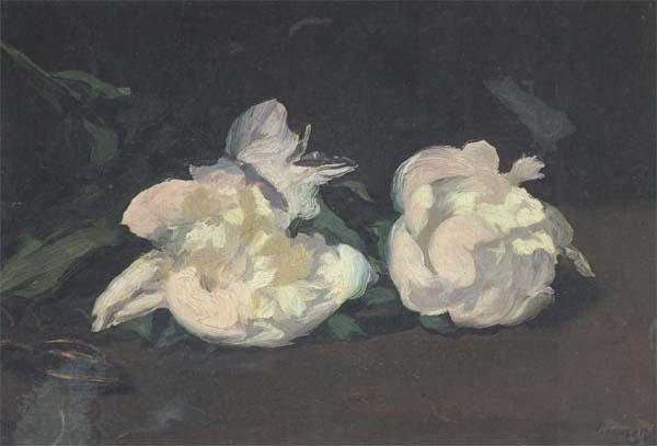 Edouard Manet Branch of White Peonies and Shears (mk40) China oil painting art